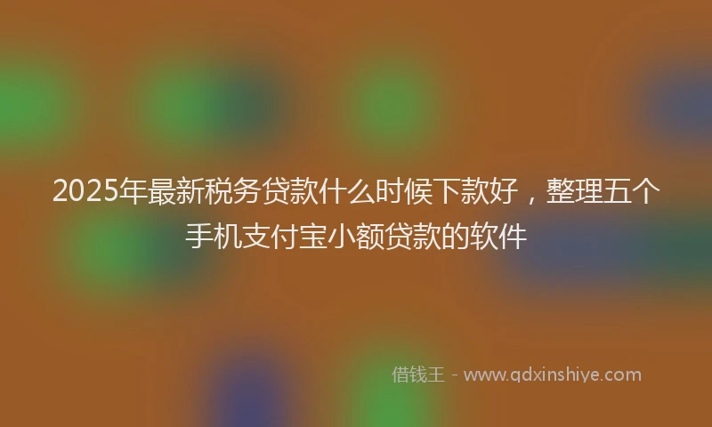 2025年最新税务贷款什么时候下款好，整理五个手机支付宝小额贷款的软件