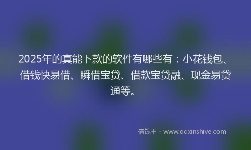 2025年的真能下款的软件有哪些有：小花钱包、借钱快易借、瞬借宝贷、借款宝贷融、现金易贷通等。