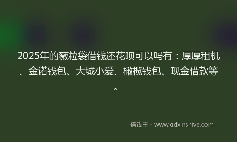 2025年的薇粒袋借钱还花呗可以吗有：厚厚租机、金诺钱包、大城小爱、橄榄钱包、现金借款等。