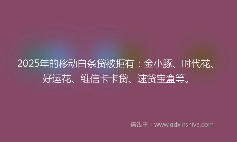 2025年的移动白条贷被拒有：金小豚、时代花、好运花、维信卡卡贷、速贷宝盒等。