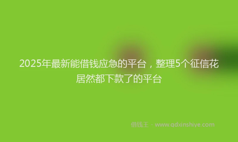 2025年最新能借钱应急的平台，整理5个征信花居然都下款了的平台