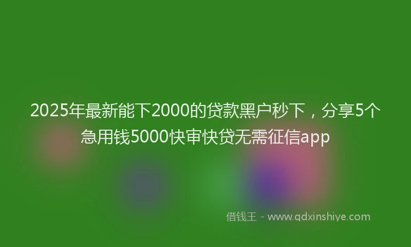 2025年最新能下2000的贷款黑户秒下，分享5个急用钱5000快审快贷无需征信app
