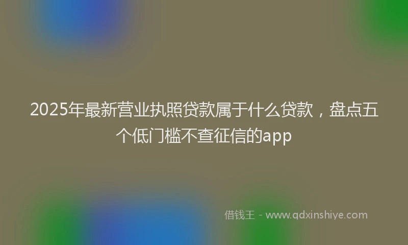 2025年最新营业执照贷款属于什么贷款，盘点五个低门槛不查征信的app