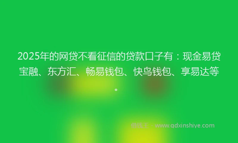 2025年的网贷不看征信的贷款口子有：现金易贷宝融、东方汇、畅易钱包、快鸟钱包、享易达等。