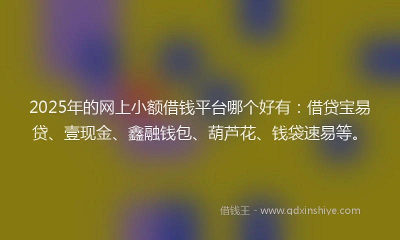 2025年的网上小额借钱平台哪个好有：借贷宝易贷、壹现金、鑫融钱包、葫芦花、钱袋速易等。