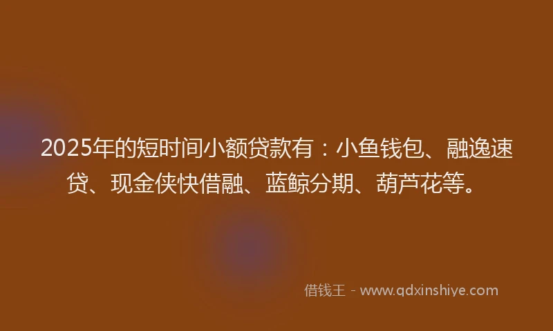 2025年的短时间小额贷款有：小鱼钱包、融逸速贷、现金侠快借融、蓝鲸分期、葫芦花等。