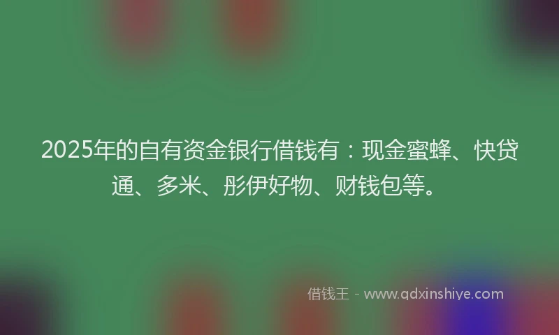 2025年的自有资金银行借钱有：现金蜜蜂、快贷通、多米、彤伊好物、财钱包等。