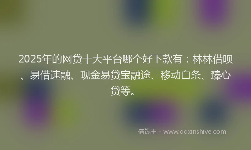 2025年的网贷十大平台哪个好下款有：林林借呗、易借速融、现金易贷宝融途、移动白条、臻心贷等。