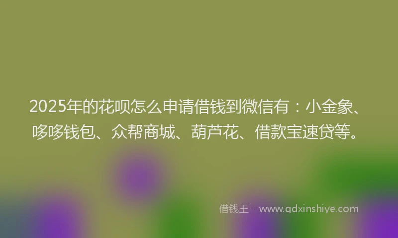 2025年的花呗怎么申请借钱到微信有：小金象、哆哆钱包、众帮商城、葫芦花、借款宝速贷等。