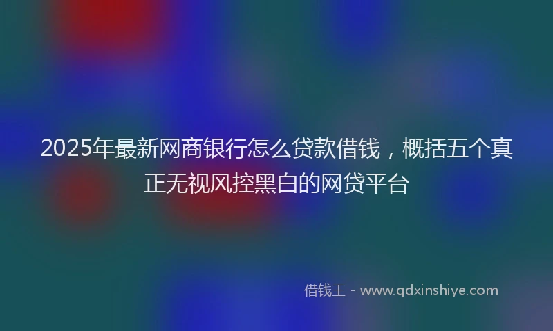 2025年最新网商银行怎么贷款借钱，概括五个真正无视风控黑白的网贷平台