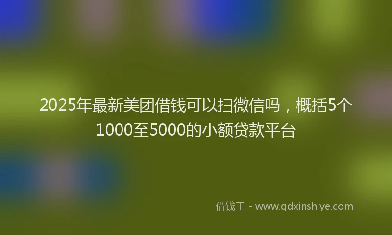 2025年最新美团借钱可以扫微信吗，概括5个1000至5000的小额贷款平台