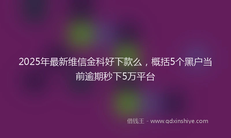 2025年最新维信金科好下款么，概括5个黑户当前逾期秒下5万平台