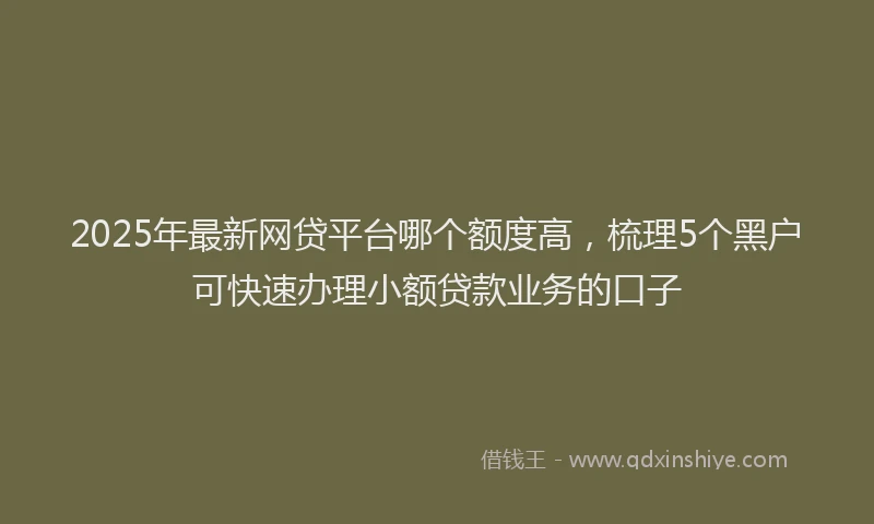 2025年最新网贷平台哪个额度高，梳理5个黑户可快速办理小额贷款业务的口子