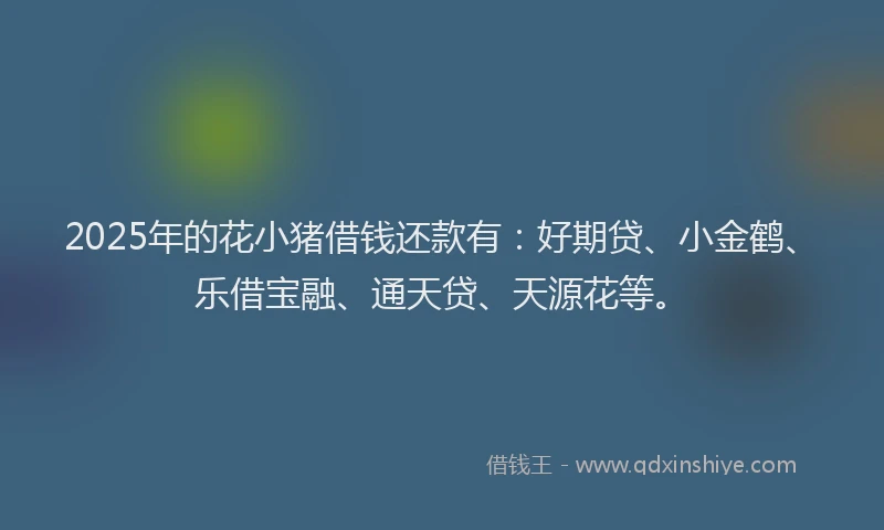 2025年的花小猪借钱还款有：好期贷、小金鹤、乐借宝融、通天贷、天源花等。