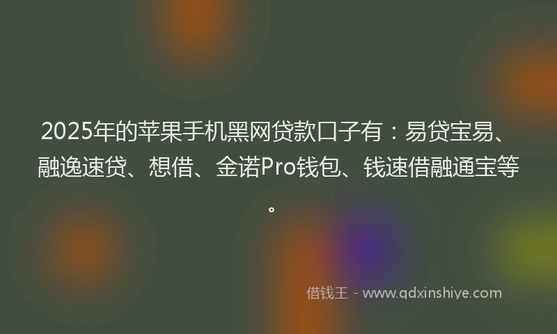 2025年的苹果手机黑网贷款口子有：易贷宝易、融逸速贷、想借、金诺Pro钱包、钱速借融通宝等。