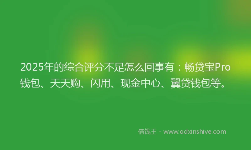 2025年的综合评分不足怎么回事有：畅贷宝Pro钱包、天天购、闪用、现金中心、翼贷钱包等。