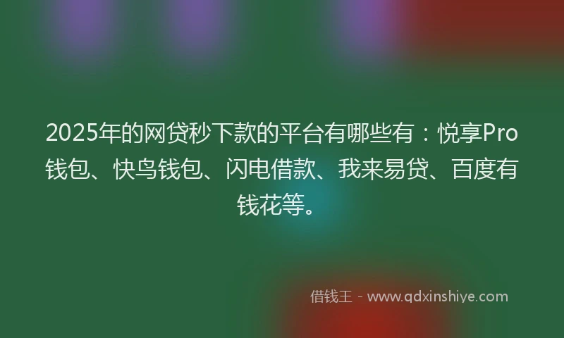2025年的网贷秒下款的平台有哪些有：悦享Pro钱包、快鸟钱包、闪电借款、我来易贷、百度有钱花等。