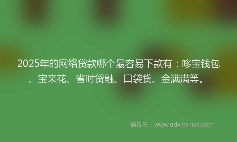 2025年的网络贷款哪个最容易下款有：哆宝钱包、宝来花、省时贷融、口袋贷、金满满等。
