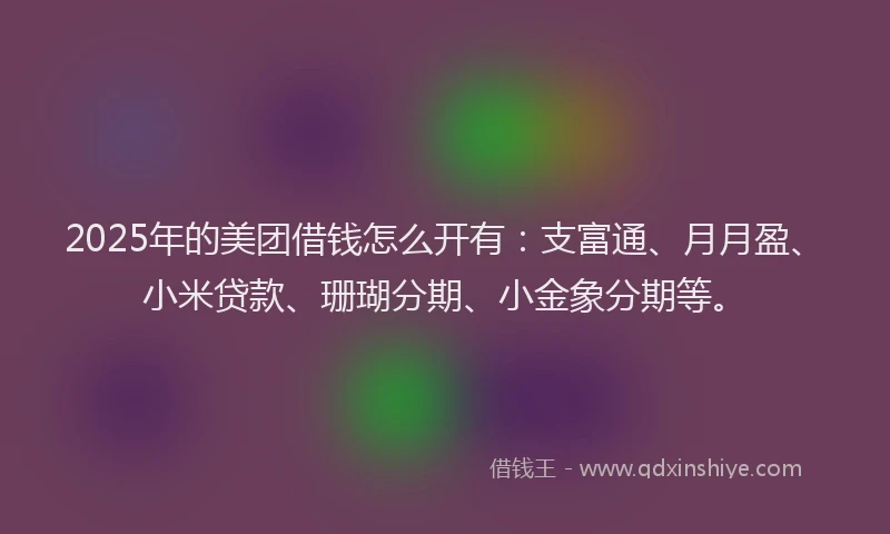 2025年的美团借钱怎么开有：支富通、月月盈、小米贷款、珊瑚分期、小金象分期等。