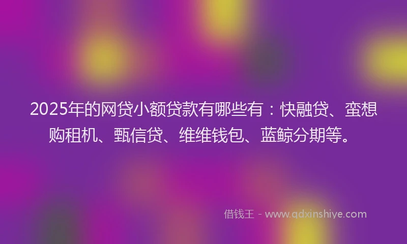 2025年的网贷小额贷款有哪些有：快融贷、蛮想购租机、甄信贷、维维钱包、蓝鲸分期等。