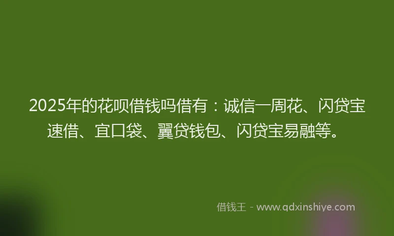 2025年的花呗借钱吗借有：诚信一周花、闪贷宝速借、宜口袋、翼贷钱包、闪贷宝易融等。