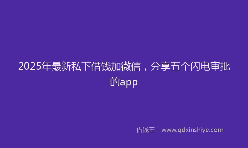 2025年最新私下借钱加微信，分享五个闪电审批的app