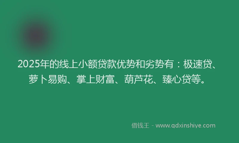2025年的线上小额贷款优势和劣势有：极速贷、萝卜易购、掌上财富、葫芦花、臻心贷等。