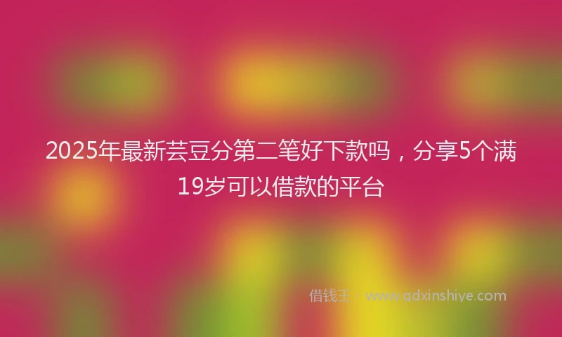 2025年最新芸豆分第二笔好下款吗，分享5个满19岁可以借款的平台