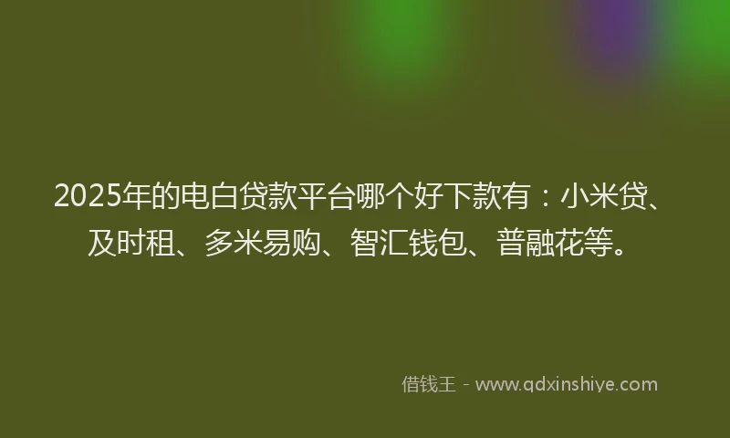 2025年的电白贷款平台哪个好下款有：小米贷、及时租、多米易购、智汇钱包、普融花等。