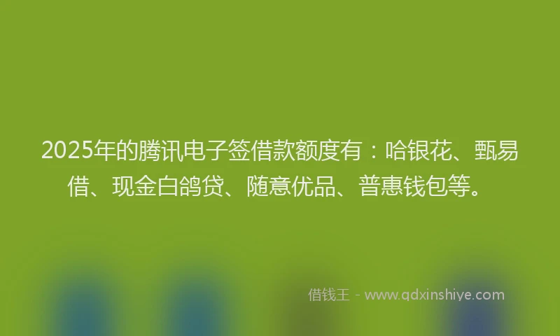2025年的腾讯电子签借款额度有：哈银花、甄易借、现金白鸽贷、随意优品、普惠钱包等。
