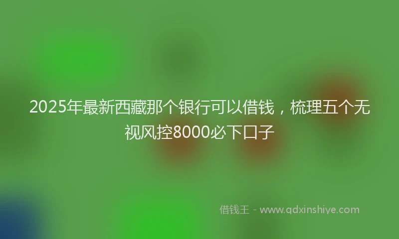 2025年最新西藏那个银行可以借钱，梳理五个无视风控8000必下口子