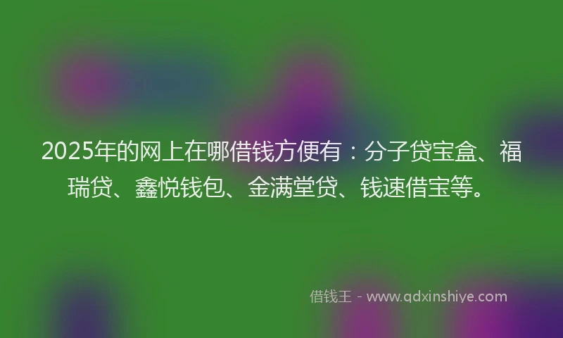 2025年的网上在哪借钱方便有：分子贷宝盒、福瑞贷、鑫悦钱包、金满堂贷、钱速借宝等。