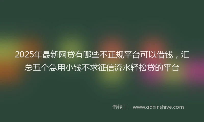 2025年最新网贷有哪些不正规平台可以借钱，汇总五个急用小钱不求征信流水轻松贷的平台