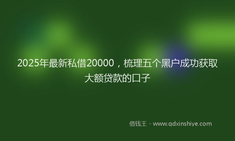 2025年最新私借20000，梳理五个黑户成功获取大额贷款的口子