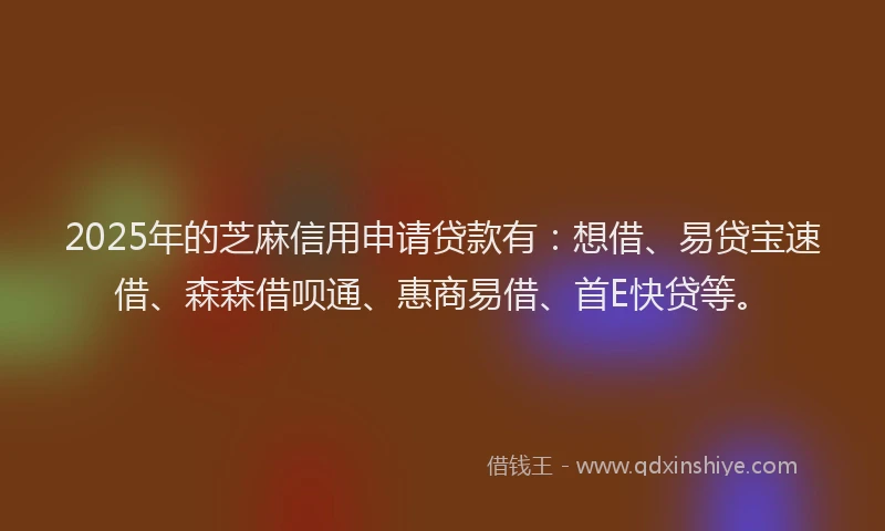 2025年的芝麻信用申请贷款有：想借、易贷宝速借、森森借呗通、惠商易借、首E快贷等。
