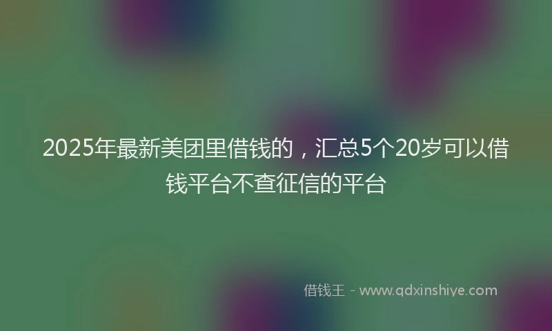 2025年最新美团里借钱的，汇总5个20岁可以借钱平台不查征信的平台