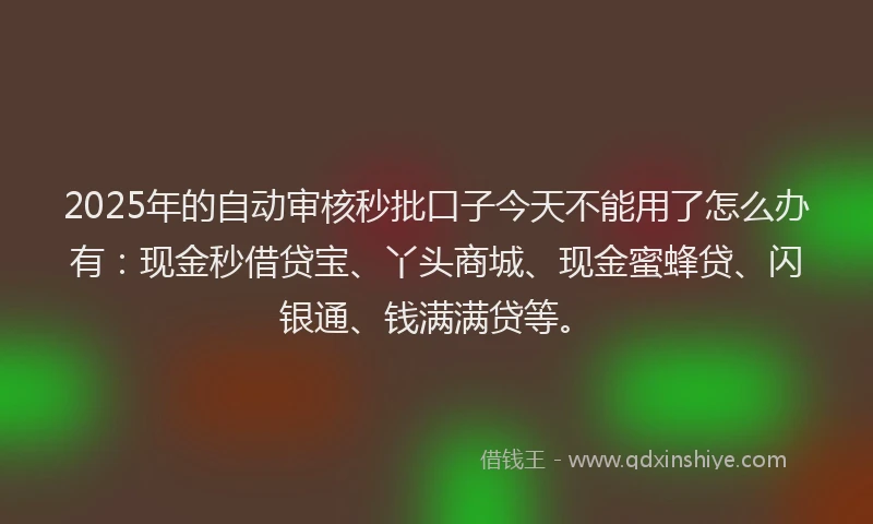 2025年的自动审核秒批口子今天不能用了怎么办有：现金秒借贷宝、丫头商城、现金蜜蜂贷、闪银通、钱满满贷等。