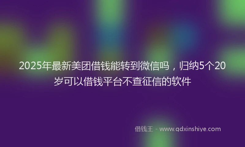 2025年最新美团借钱能转到微信吗，归纳5个20岁可以借钱平台不查征信的软件