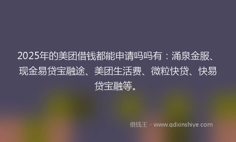 2025年的美团借钱都能申请吗吗有：涌泉金服、现金易贷宝融途、美团生活费、微粒快贷、快易贷宝融等。
