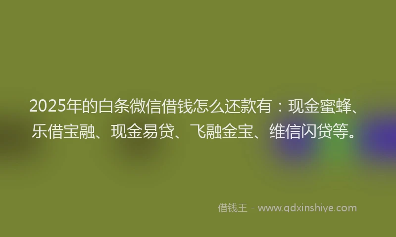 2025年的白条微信借钱怎么还款有：现金蜜蜂、乐借宝融、现金易贷、飞融金宝、维信闪贷等。