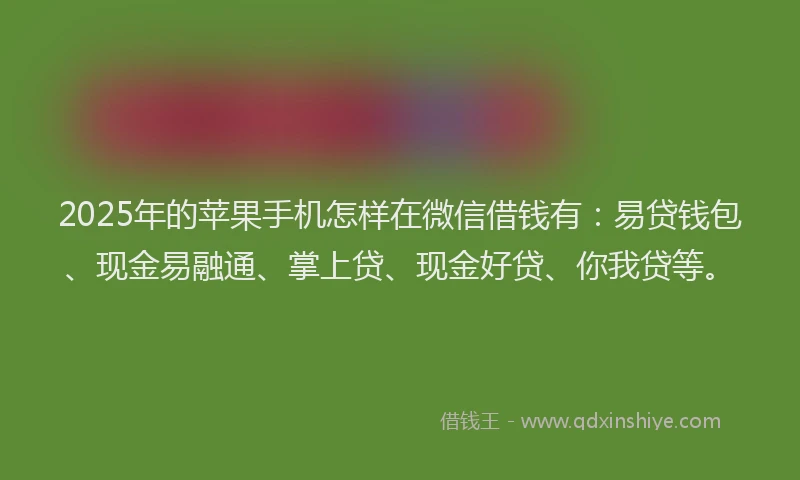 2025年的苹果手机怎样在微信借钱有：易贷钱包、现金易融通、掌上贷、现金好贷、你我贷等。