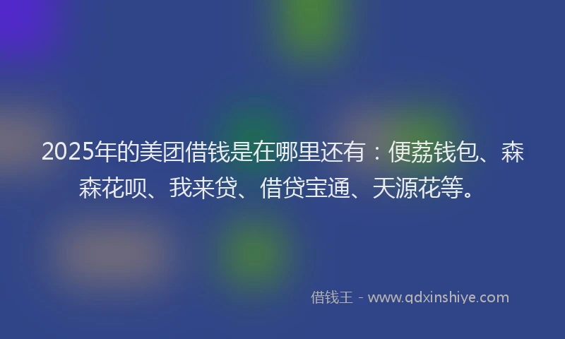 2025年的美团借钱是在哪里还有：便荔钱包、森森花呗、我来贷、借贷宝通、天源花等。