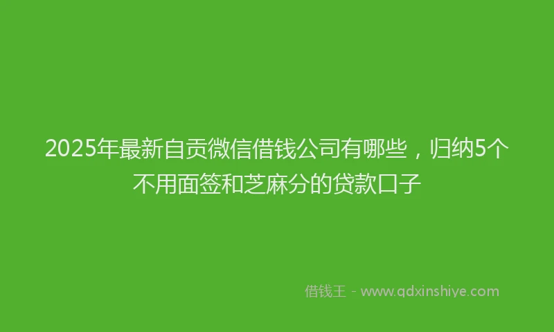 2025年最新自贡微信借钱公司有哪些，归纳5个不用面签和芝麻分的贷款口子