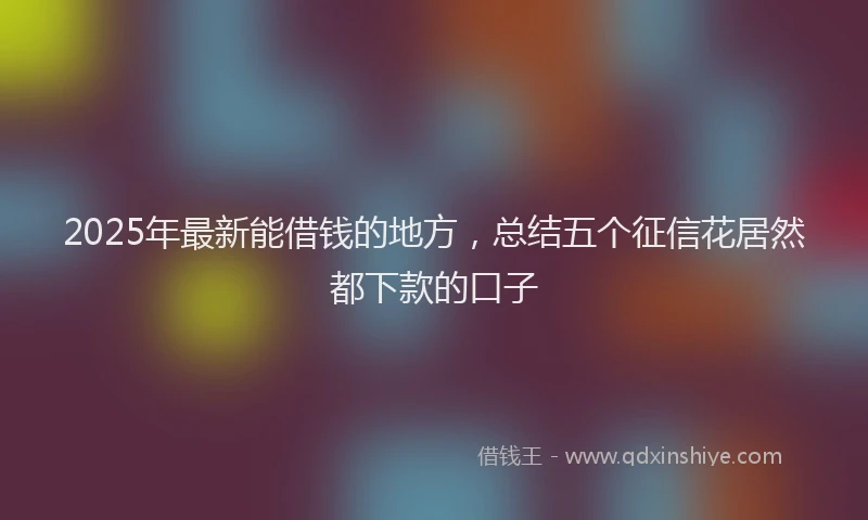 2025年最新能借钱的地方，总结五个征信花居然都下款的口子