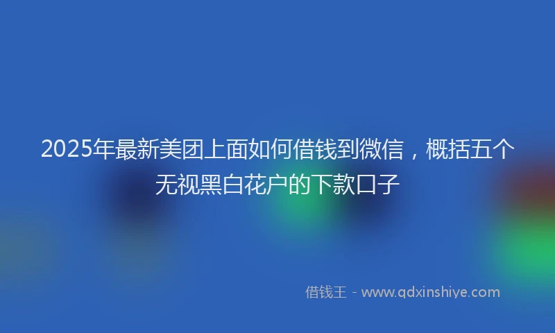 2025年最新美团上面如何借钱到微信，概括五个无视黑白花户的下款口子
