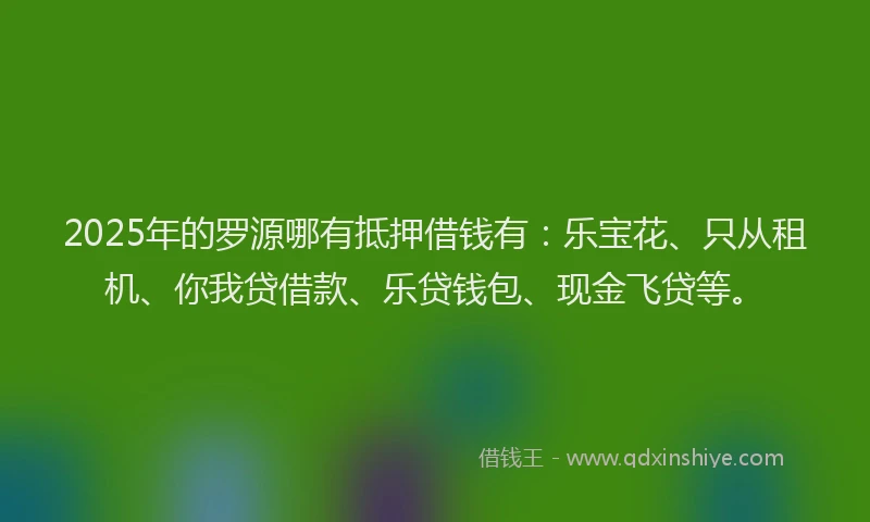 2025年的罗源哪有抵押借钱有：乐宝花、只从租机、你我贷借款、乐贷钱包、现金飞贷等。