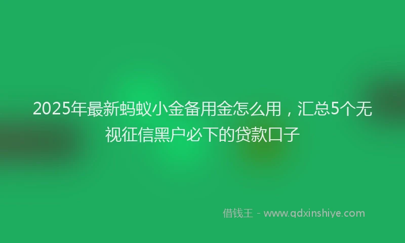 2025年最新蚂蚁小金备用金怎么用，汇总5个无视征信黑户必下的贷款口子