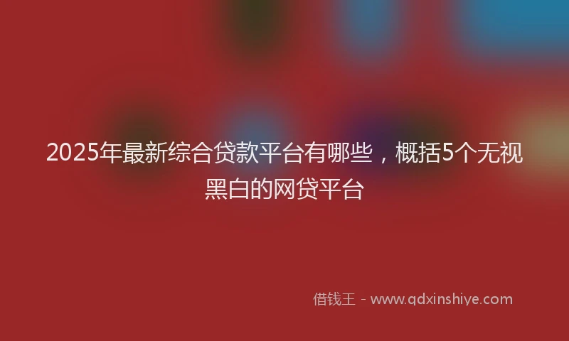 2025年最新综合贷款平台有哪些，概括5个无视黑白的网贷平台