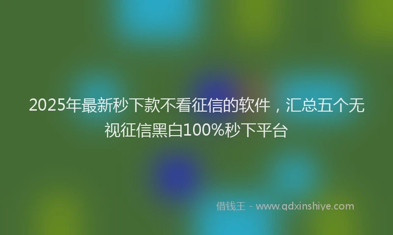 2025年最新秒下款不看征信的软件，汇总五个无视征信黑白100%秒下平台