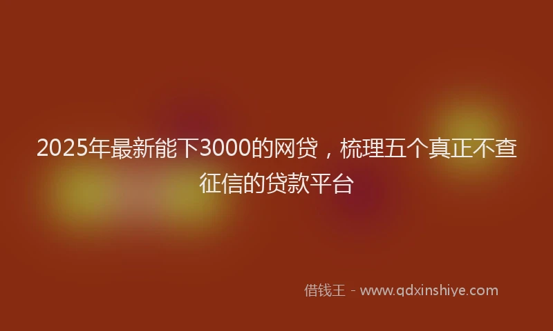 2025年最新能下3000的网贷，梳理五个真正不查征信的贷款平台